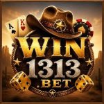 win13 game